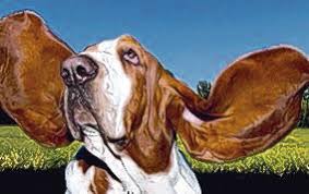 His real name is raymond igbatode, but he has aliases: Die Hunde Mit Dem Traurigen Blick