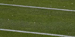 Complete wimbledon championships history from start to today. Wimbledon 2017 Tausende Ameisen Verargern Tennis Profis In Wimbledon Express De