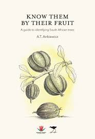 The smaller stems of an avocado tree are light green, turning brown as they get older. Know Them By Their Fruit A Guide To Identifying South African Trees Jacana