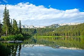 Mammoth cave cabin rentals locate you in the center of a vast national park system. Tamarack Lodge Resort Mammoth Lakes Mammoth Lakes Hotels Ca At Getaroom
