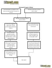 Schematic Pathophysiology Cva