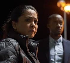 DI Ray season 2 cast