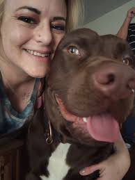 My fit lil APBT girl 💪😇🖤 3 y/o. 37 lb of pure lean muscles. 💪👊