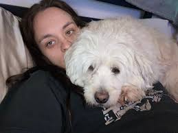 Roommate or Room Wanted in Denver, CO