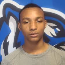 Mason Goodwin's High School Bio