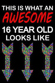 Organize a romantic getaway for the two of you, or invite clue what to get him he likes music but he already has heaps and he just like what the average 17 year old would but what do i. Awesome 16 Year Old Blank Lined Journal Funny Happy Birthday Sketchbook Notebook Diary Perfect Gift For 16 Year Old Boys And Girls By Not A Book