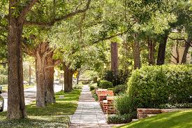 Tracy Elizabeth Argo, Lake Conroe North Real Estate Agent