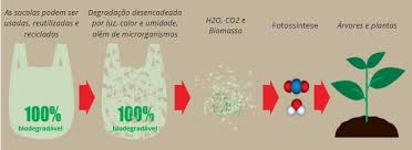 Plásticos biodegradáveis: tipos, vantagens, resumo - Mundo ...
