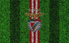 Download hd wallpapers tagged with 2020 from page 1 of hdwallpapers.in in hd, 4k resolutions. S L Benfica 4k Ultra Hd Wallpaper Background Image 3840x2400 Id 989966 Wallpaper Abyss