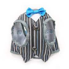 Maybe you would like to learn more about one of these? Harness With Bow Tie Pasteurinstituteindia Com