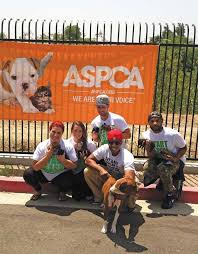 Working Together to Save Animals' Lives