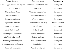 Species used for restoration