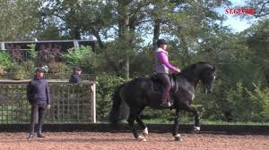 In a recent post, the british rider paid tribute to the humble snaffle and how it features into her training regime. Charlotte Dujardin Valegro Youtube