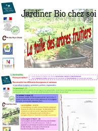 Tailler les abricotiers et cerisiers et taille en vert sur les pommiers, poiriers. Taille Des Arbres Fruitiers Bourgeon Botanique Arbres
