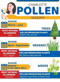 When Does Pollen Season End In Charlotte Nc Carolina Asthma Allergy