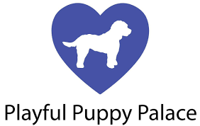 All of our dogs live in a family homes. Home Cockapoo Puppies In Wv Playful Puppy Palace