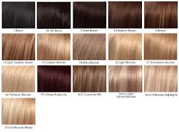 Hair Extension Color Number Chart Dark Golden Blonde Hair
