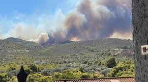 Το ξέσπασμα του πόποβιτς μετά το χρυσό για τους επικριτές της team usa: Msbypiv B Jtzm