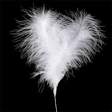 Sowie einen retourenschein zum ausdrucken. Federn Kaufen Online