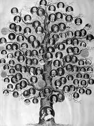 Queen Victorias Family Tree Vita Brevis