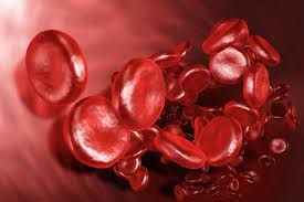 What should be monitored while on apixaban? Clexane Enoxaparin Used To Prevent Blood Clots