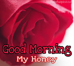 Maybe you would like to learn more about one of these? 51 Good Morning Hd Images For Sweetheart Best Status Pics