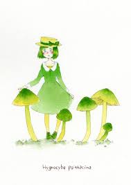 I want to lick it so bad. Mushroom Girl 29 Parrot Waxcap Moemorphism