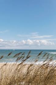 Birds Of Cape Cod National Seashore Wave Crashing On Shore In Autumn At Cape Cod National Seashore By Raymond Forbes Llc Beach Grass Stocks In 2020 Cape Cod Beaches Ocean Vibes Cape Cod Photography