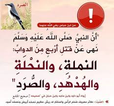 Pin On Islam