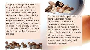Can Magic Mushrooms Treat Depression