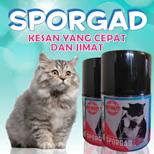 Demam adalah naiknya suhu tubuh yang sering kali disebabkan oleh suatu penyakit. Ubat Sakit Kucing Best Product Original Hq Vitamin Kucing Viral Shopee Singapore