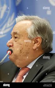 Caued hi-res stock photography and images