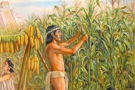 DESCUBRIMIENTO DE LA AGRICULTURA                                            10,000 a 12,000 aC .                             