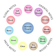 Fragrance Wheel Wikipedia