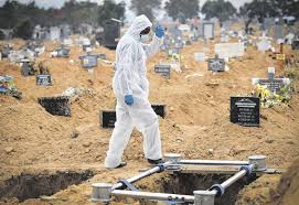 Nelson mandela bay, port elizabeth. Resurgence Weekly Excess Deaths In Nelson Mandela Bay Higher Than During First Surge Of Covid 19 News24