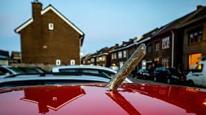 Jun 11, 2021 · meerssen stelt lvo ultimatum: Ruim 200 Brokstukken Van Vliegtuig In Meerssen Verzameld 1limburg Nieuws En Sport Uit Limburg