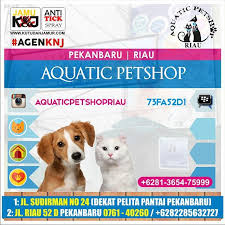 Shop today and get free shipping on qualifying orders! Agenknj Instagram Posts Gramho Com