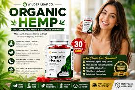 Is Wilder Leaf Co Pain Relief safe for daily use? | IP Phone Forum