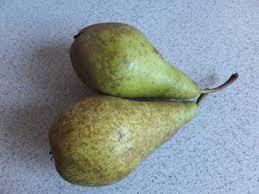 Auch obst und gemüse bevorzugen bestimmte orte. Fingerspiel Fur Die Kita Wir Kaufen Obst