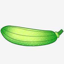 Larger fruits have a more developed flavour. Zucchini Lettuce Has A Light Vitamin Nutrition Zucchini Vitamins Delicious Png Transparent Clipart Image And Psd File For Free Download