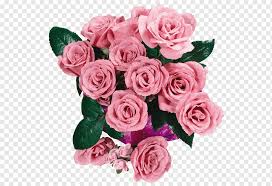 Visit the meaning of flowers glossary so you know exactly what you're saying with your flower delivery. Garden Roses Square Alban Satragne Prison Saint Lazare Flower Friendship Pink Roses Love Game Flower Arranging Png Pngwing