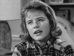 The Patty Duke Show" The Cousins (TV Episode 1964)
