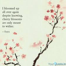 After only two weeks, they drop to the ground and wither, falling like snow with the ebb and flow of the winds. Cherry Blossom Tree Quotes