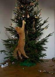 28 Cats Vs Christmas Tree Memes To Laugh At While You Digest Turkey In 2021 Cat Christmas Tree Christmas Animals Pet Holiday