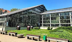 Palmiarnia poznańska to największa w kraju i jedna z największych w europie ekspozycji egzotycznych roślin i ryb. Poznan Na Kilka Godzin Wywczas