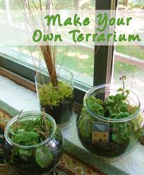 Guest Blog Make A Terrarium By Amy The Intern How To Make Terrariums Terrarium Easy Garden