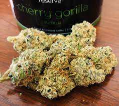 Cherry Gorilla by Verano - Maryland Cannabis Reviews