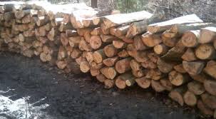 Firma poate usca si trata termic produsele sale. Lemn De Foc Paletizat 58 Euro Si Lemn De Foc La Metru 38 Euro