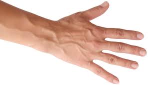 Ternyata batang kemaluannya berwarna hitam dengan rambut yang sangat lebat. Urat Menonjol Dan Terlihat Jelas Di Kulit Ini 6 Penyebabnya