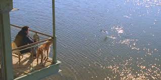 It succeeds despite being based on two enough of the plot and its paradoxes. How They Built A Glass House For The Lake House Movie